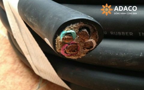 Khám phá dây cáp điện chịu lực: giải pháp tối ưu cho công trình hiện đại